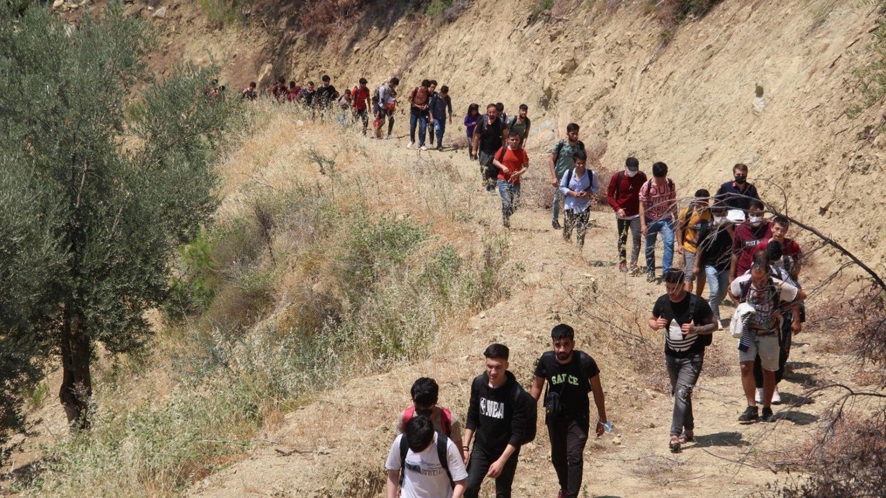 Kaçak göçmenler ormanda yakalandı