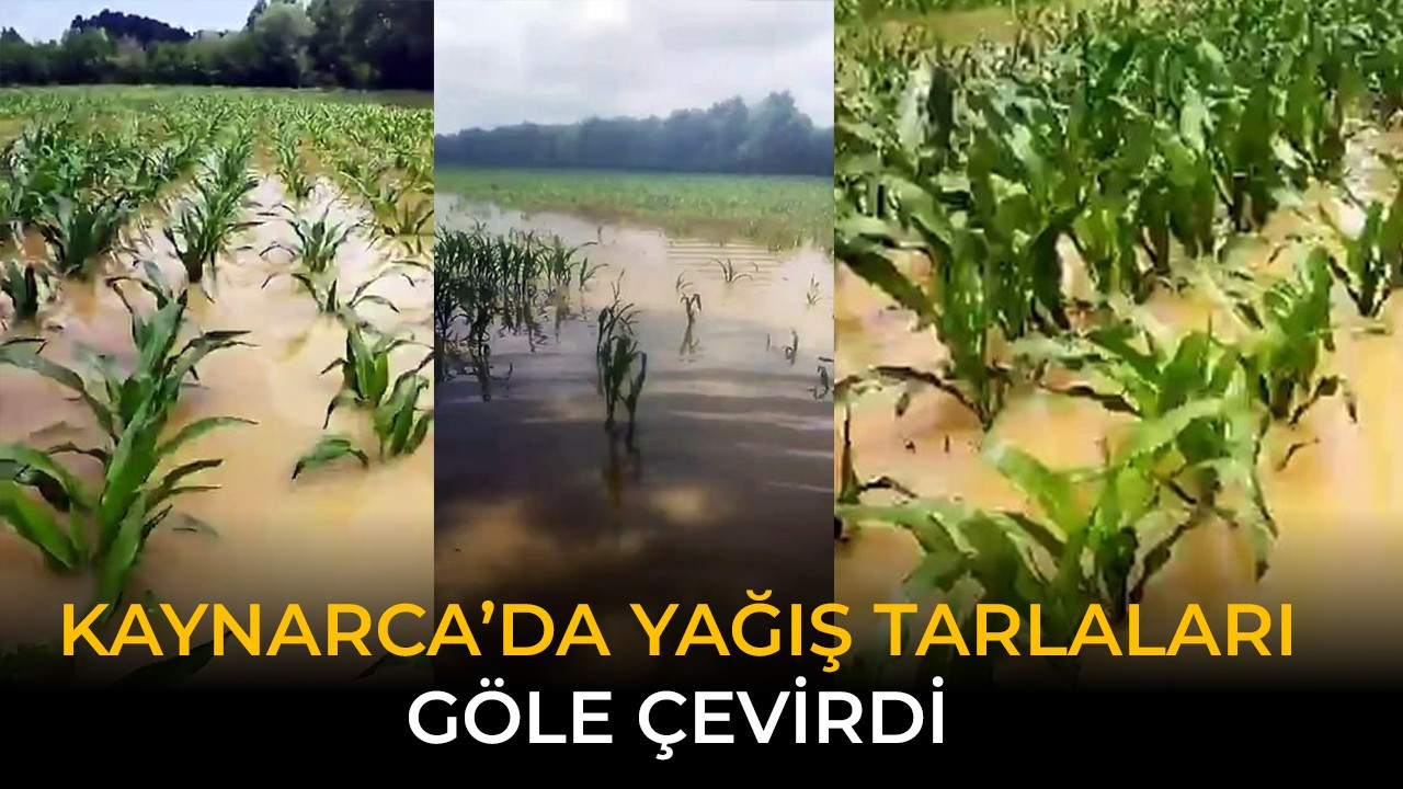 Kaynarca’da yağış tarlaları göle çevirdi