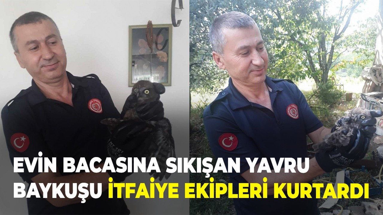 Evin bacasına sıkışan yavru baykuşu itfaiye ekipleri kurtardı