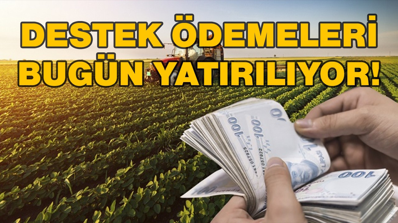 Destek ödemeleri bugün yatırılıyor!