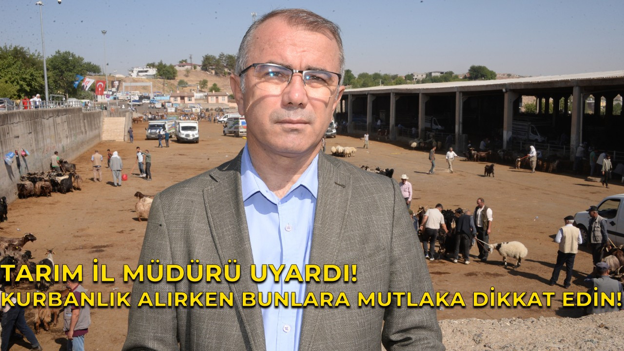 Tarım İl Müdürü uyardı; Kurbanlık alırken bunlara mutlaka dikkat edin!