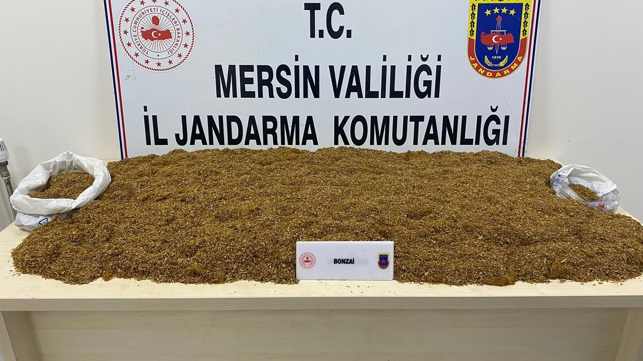 Mersin’de 12 kilo 320 gram bonzai ele geçirildi