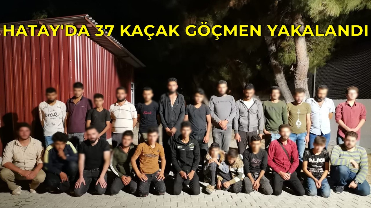 Hatay'da 37 kaçak göçmen yakalandı