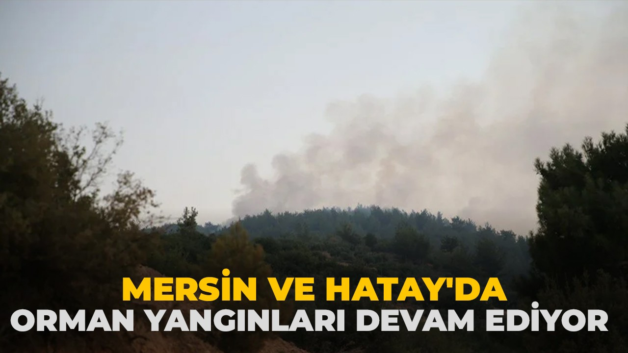 Mersin ve Hatay'da orman yangınları devam ediyor