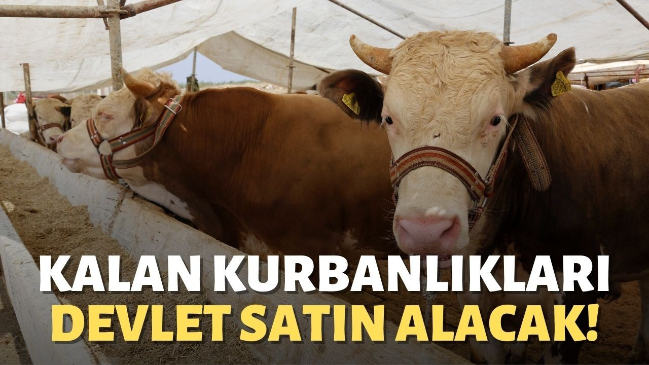 Kalan kurbanlıkları devlet satın alacak!