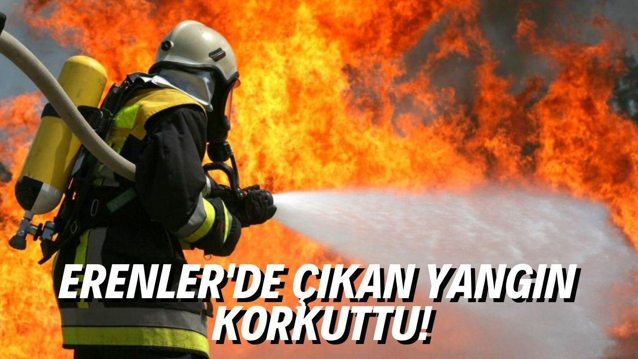 Erenler'de çıkan yangın korkuttu!