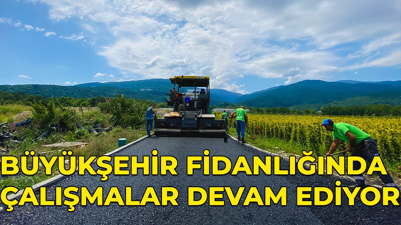 Büyükşehir fidanlığında çalışmalar devam ediyor