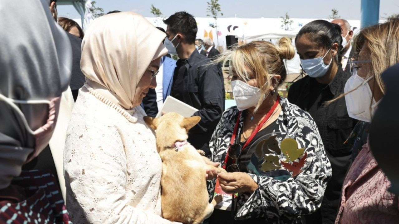 Emine Erdoğan ses telleri kesik köpeği Yonca Evcimik'e emanet etti!