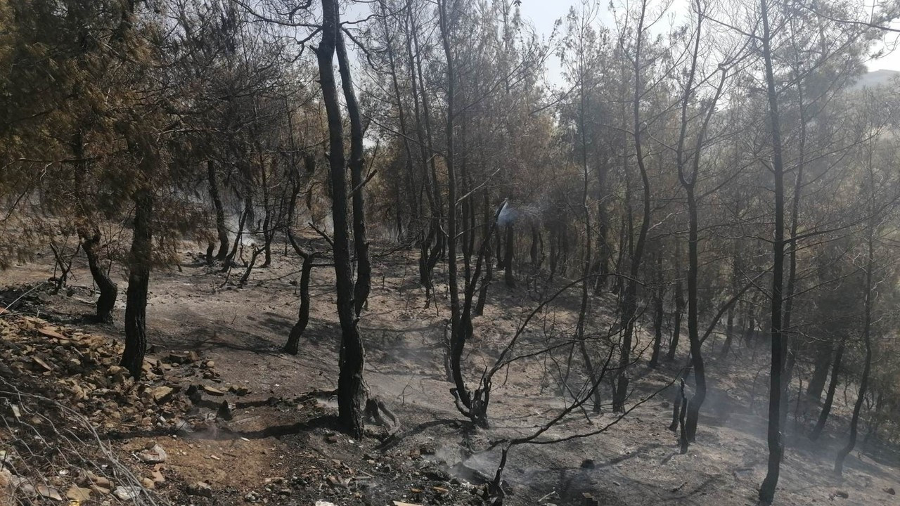 Kula’da orman yangını korkuttu