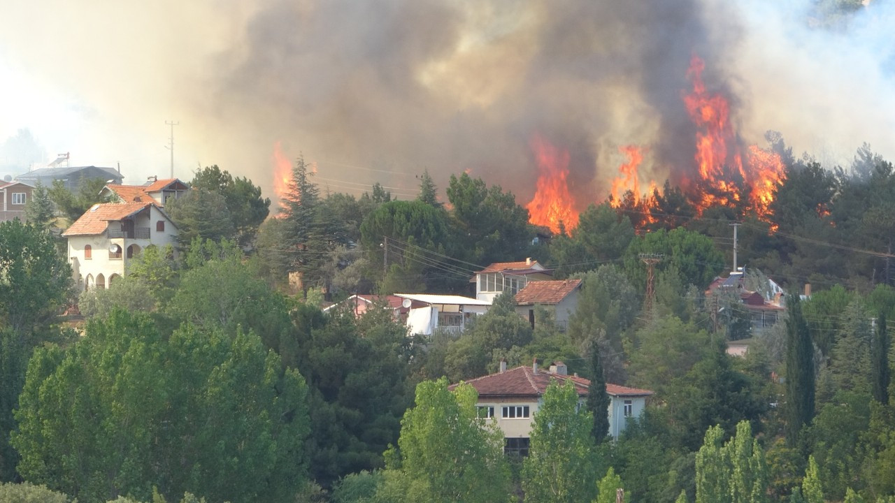 Uşak'ta orman yangını evlere sıçradı