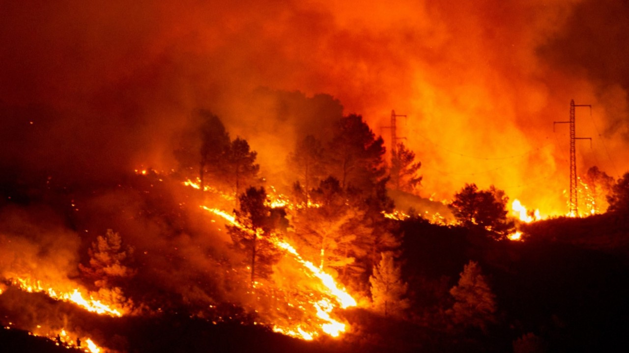 Dünyanın ormanları yanıyor