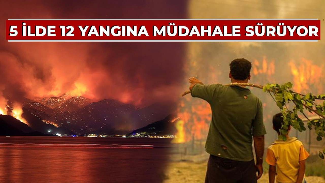 5 ilde 12 yangına müdahale sürüyor