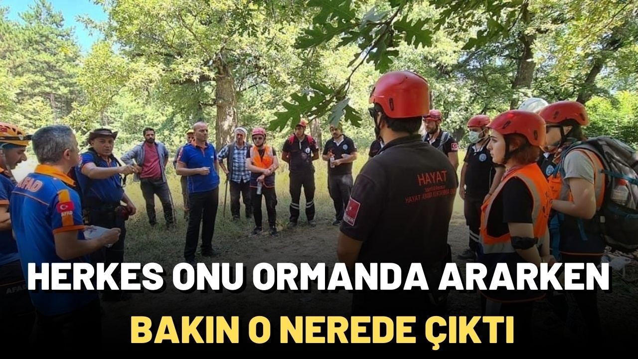 Herkes onu ormanda ararken bakın o nerede çıktı