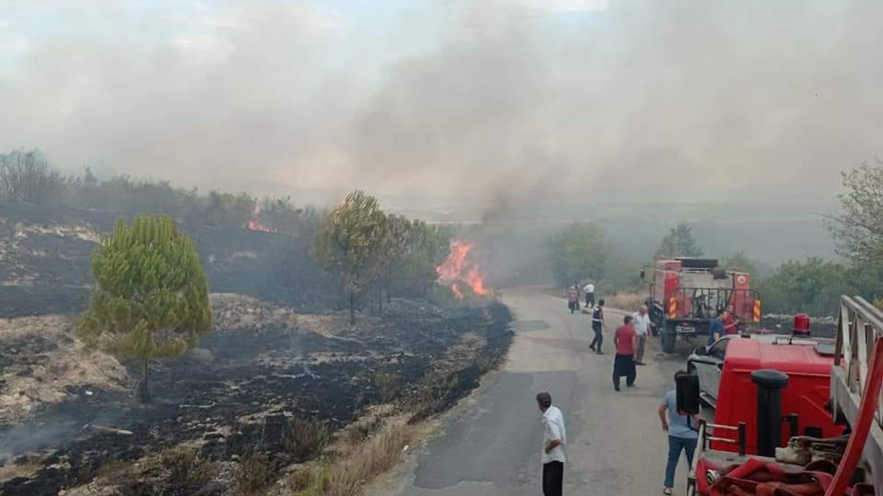 Kahramanmaraş'ta yıldırımlar 4 noktada orman yangınına neden oldu
