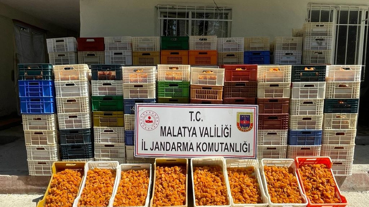 Malatya'da 2,5 ton kuru kayısı hırsızlığına 1 tutuklama