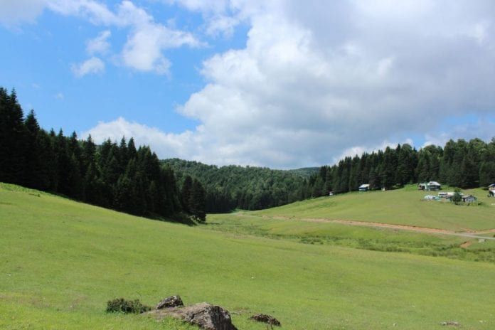 Sakarya'da kamp yapılacak en iyi 31 kamp alanı! - Sayfa 14