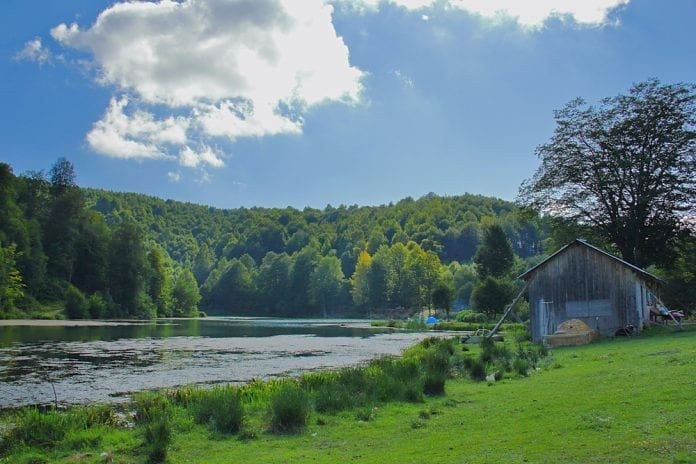 Sakarya'da kamp yapılacak en iyi 31 kamp alanı! - Sayfa 21