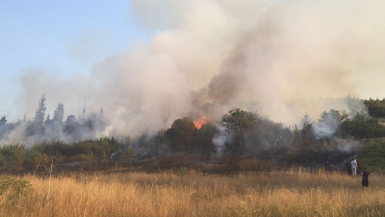 Gebze’de arazideki ot ve çalılar yandı