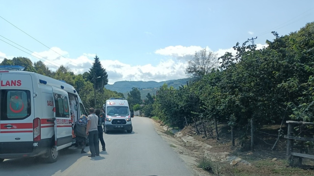 Tarım aracı şarampolden dereye uçtu: 1 yaralı