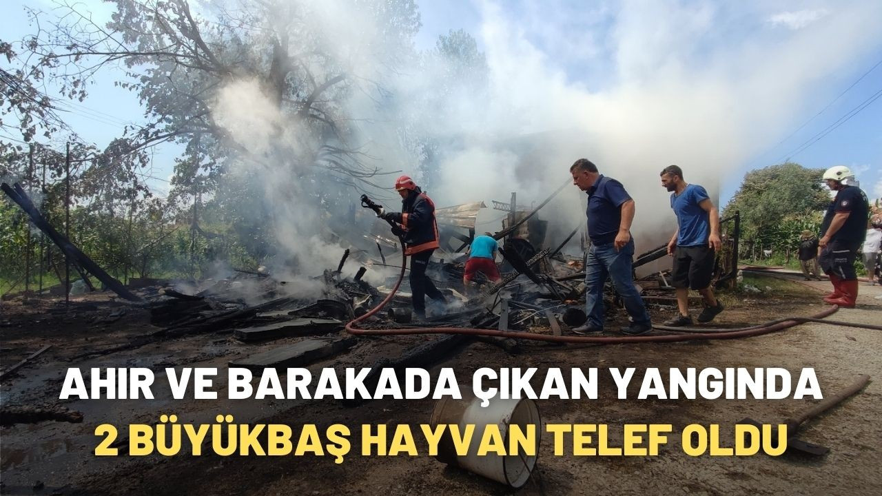 Ahır ve barakada çıkan yangında 2 büyükbaş hayvan telef oldu