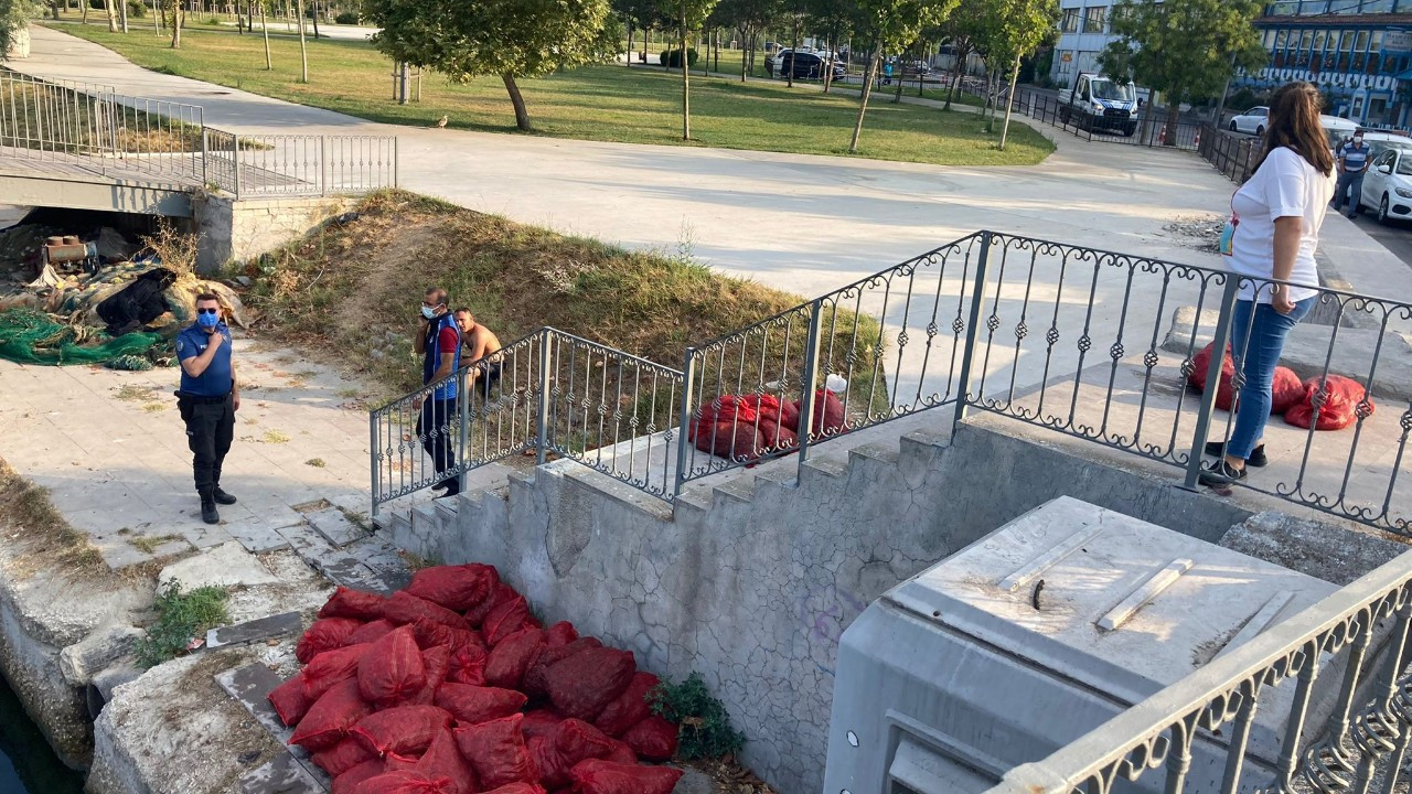 İstanbul'da kaçak avcılara operasyon: Tonlarca midye ele geçirildi