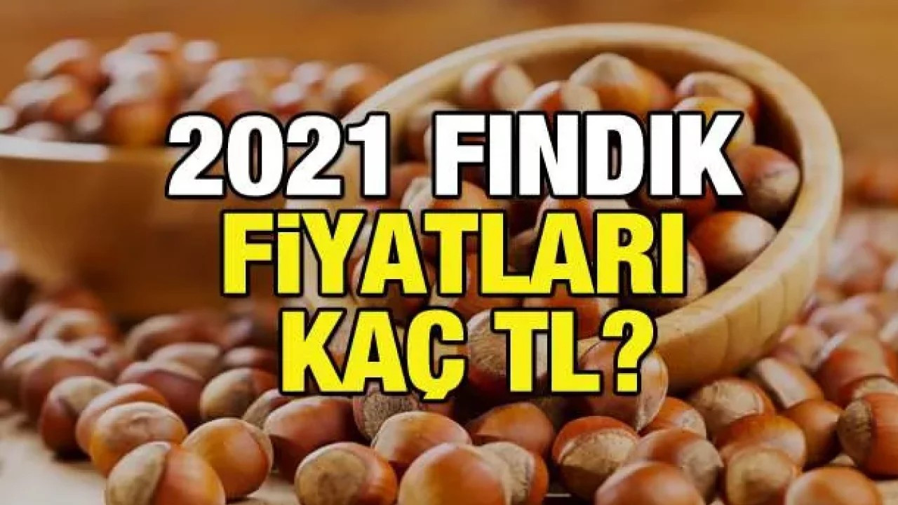 Fındık alım fiyatları belli oldu! 2021 fındık alım fiyatı ne kadar, kaç TL?