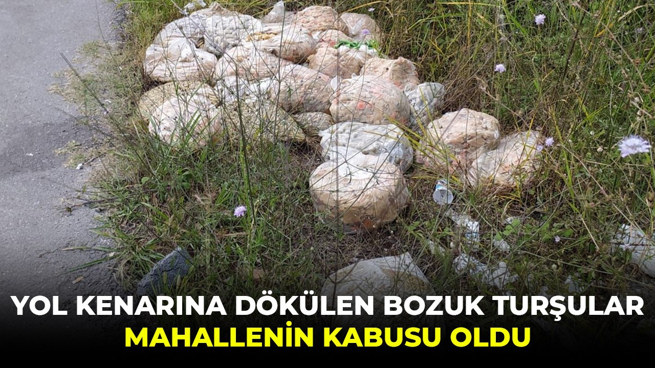 Yol kenarına dökülen bozuk turşular mahallenin kabusu oldu