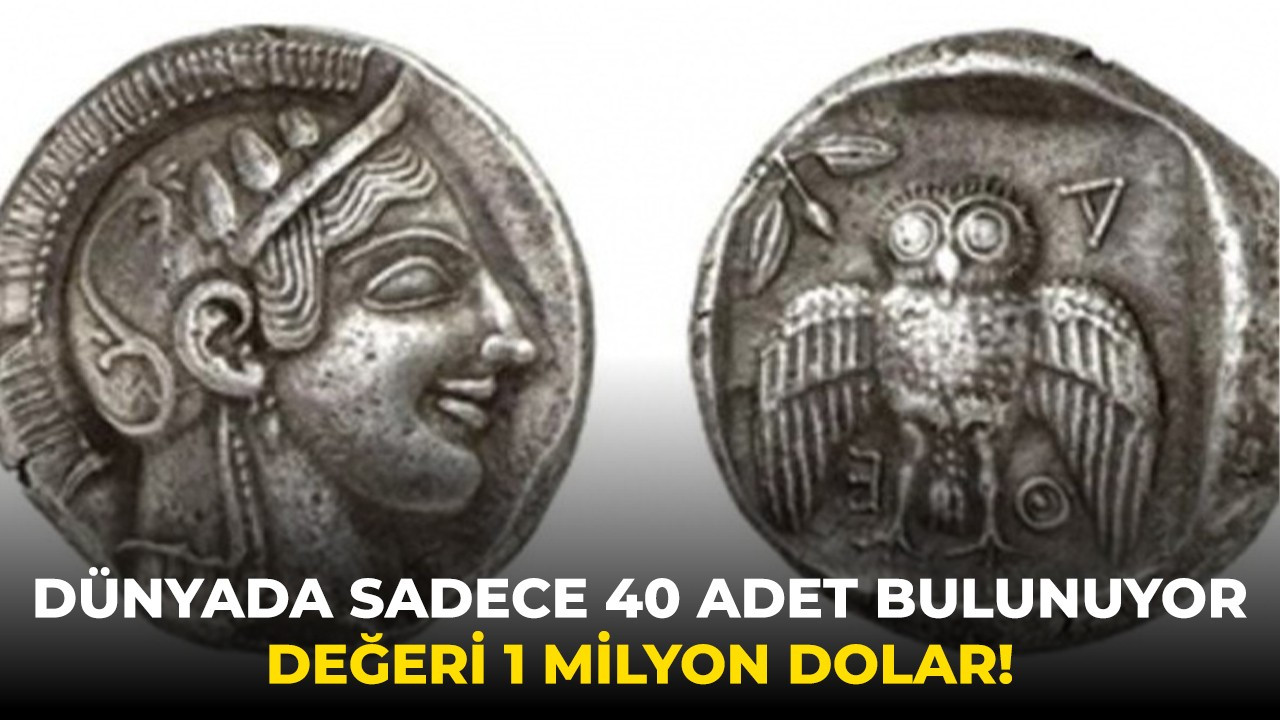 Dünyada sadece 40 adet bulunuyor, değeri 1 milyon dolar!