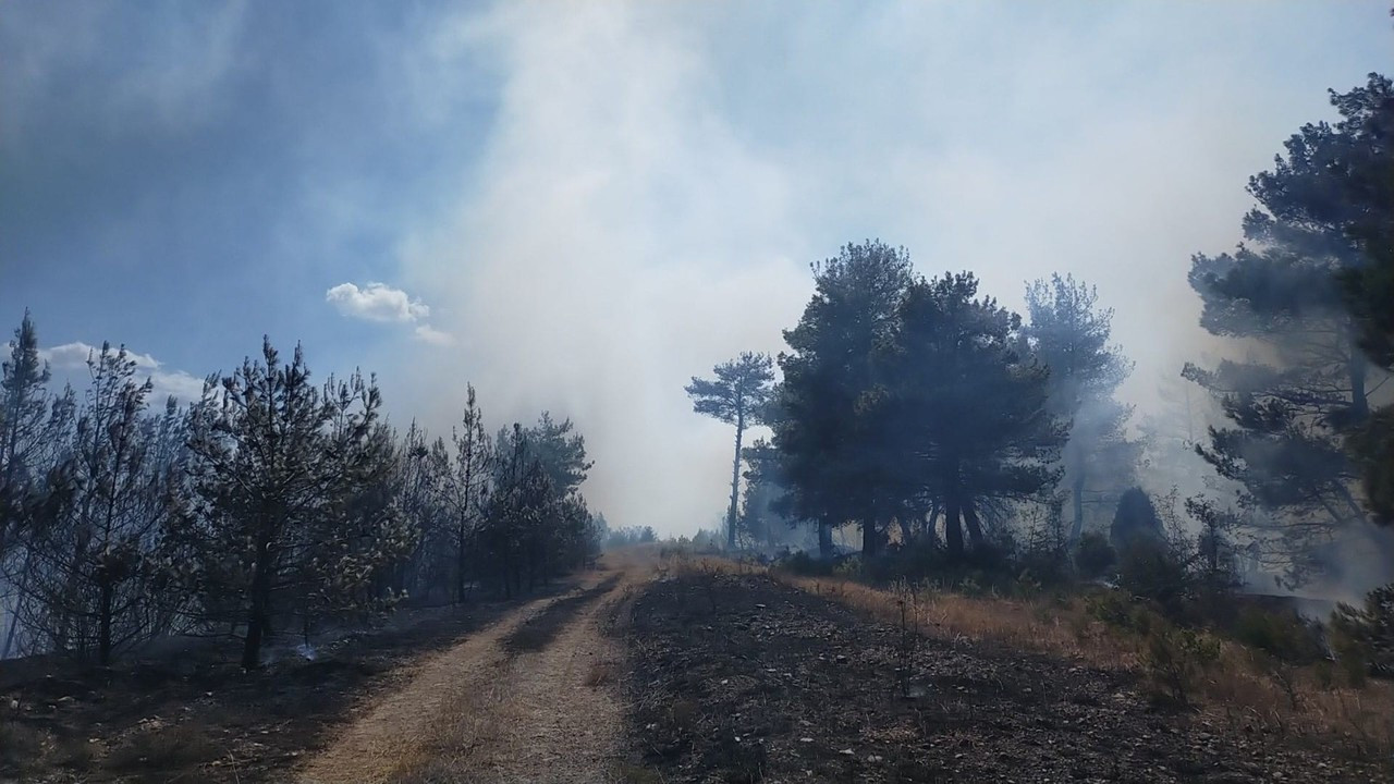 Çanakkale’de orman yangını!