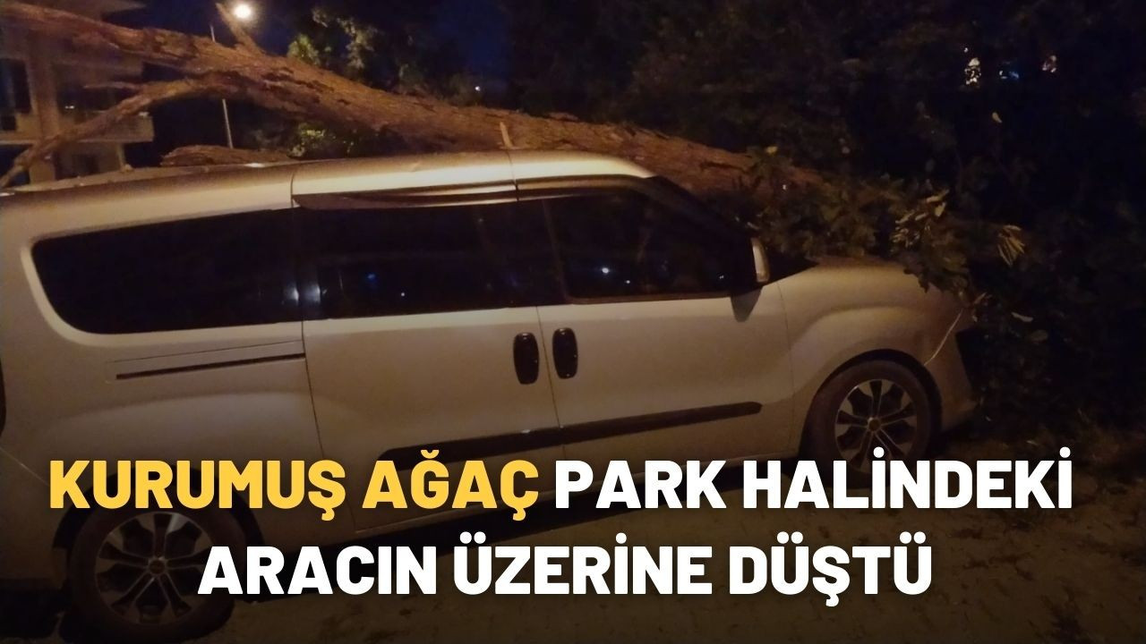 Kurumuş ağaç, park halindeki aracın üzerine devrildi