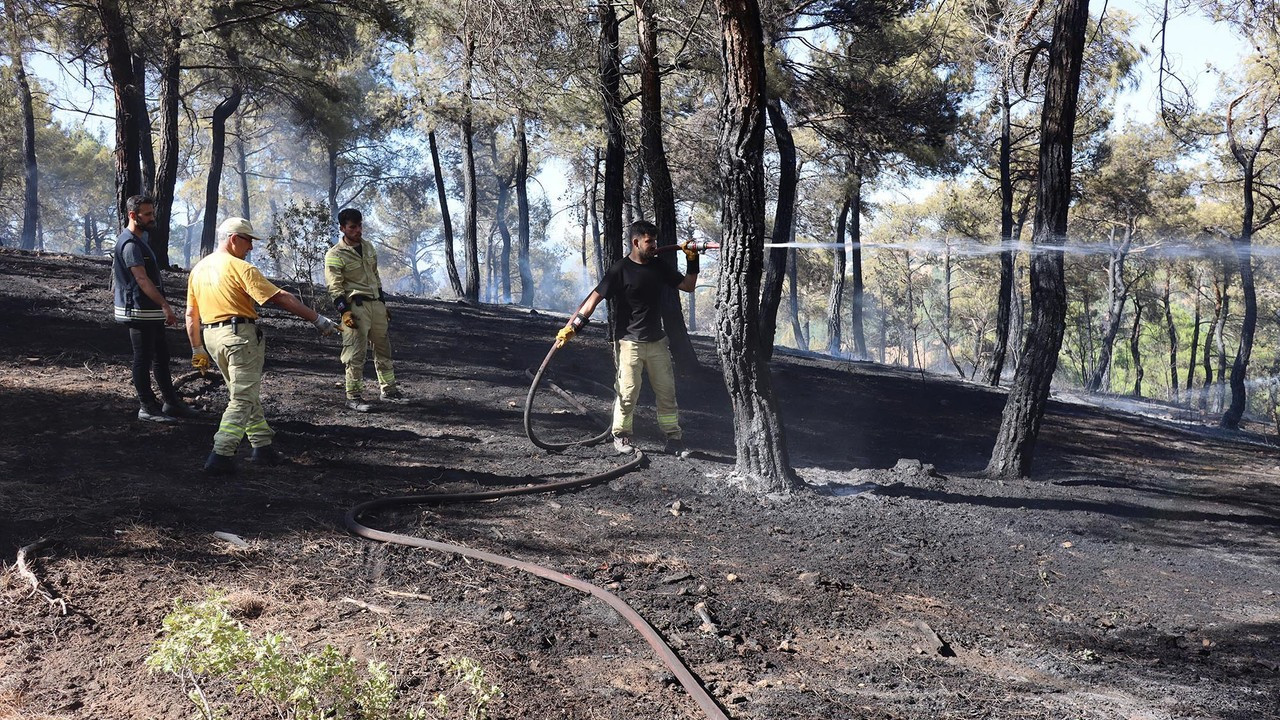 Uşak'ta orman yangınında 1 hektarlık alan zarar gördü
