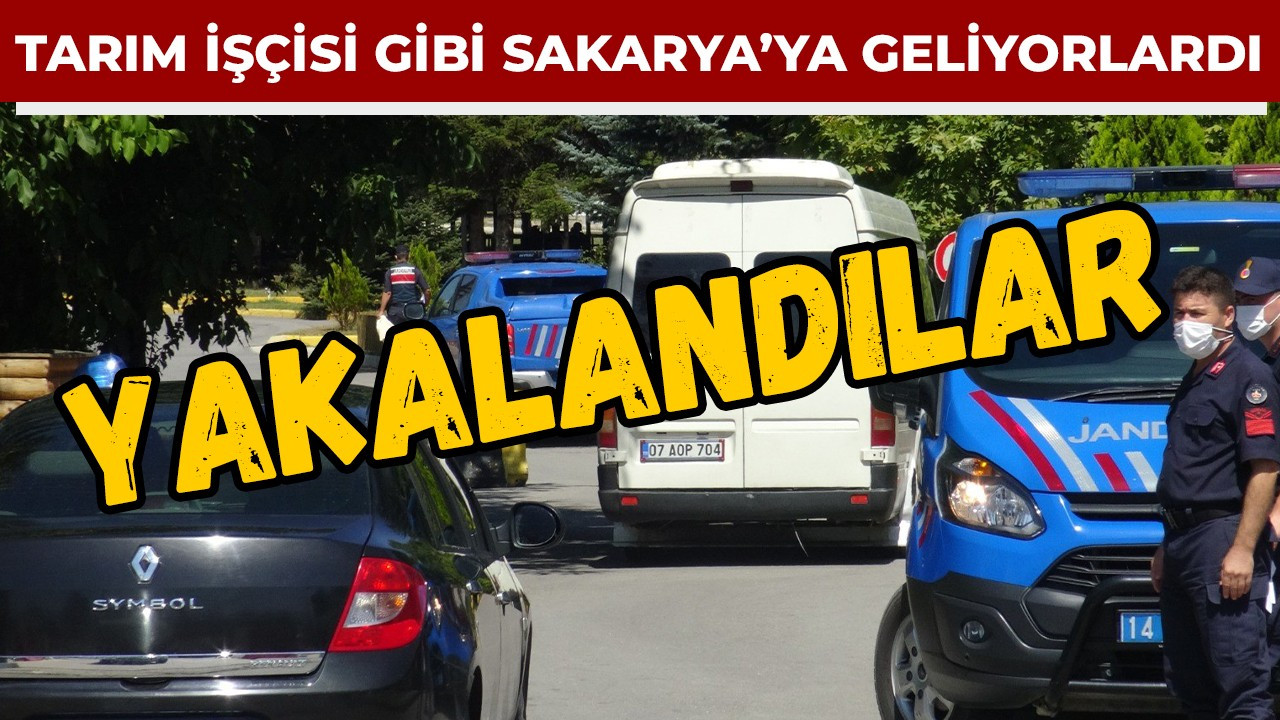 Tarım işçisi gibi Sakarya’ya geliyorlardı! Yakalandılar