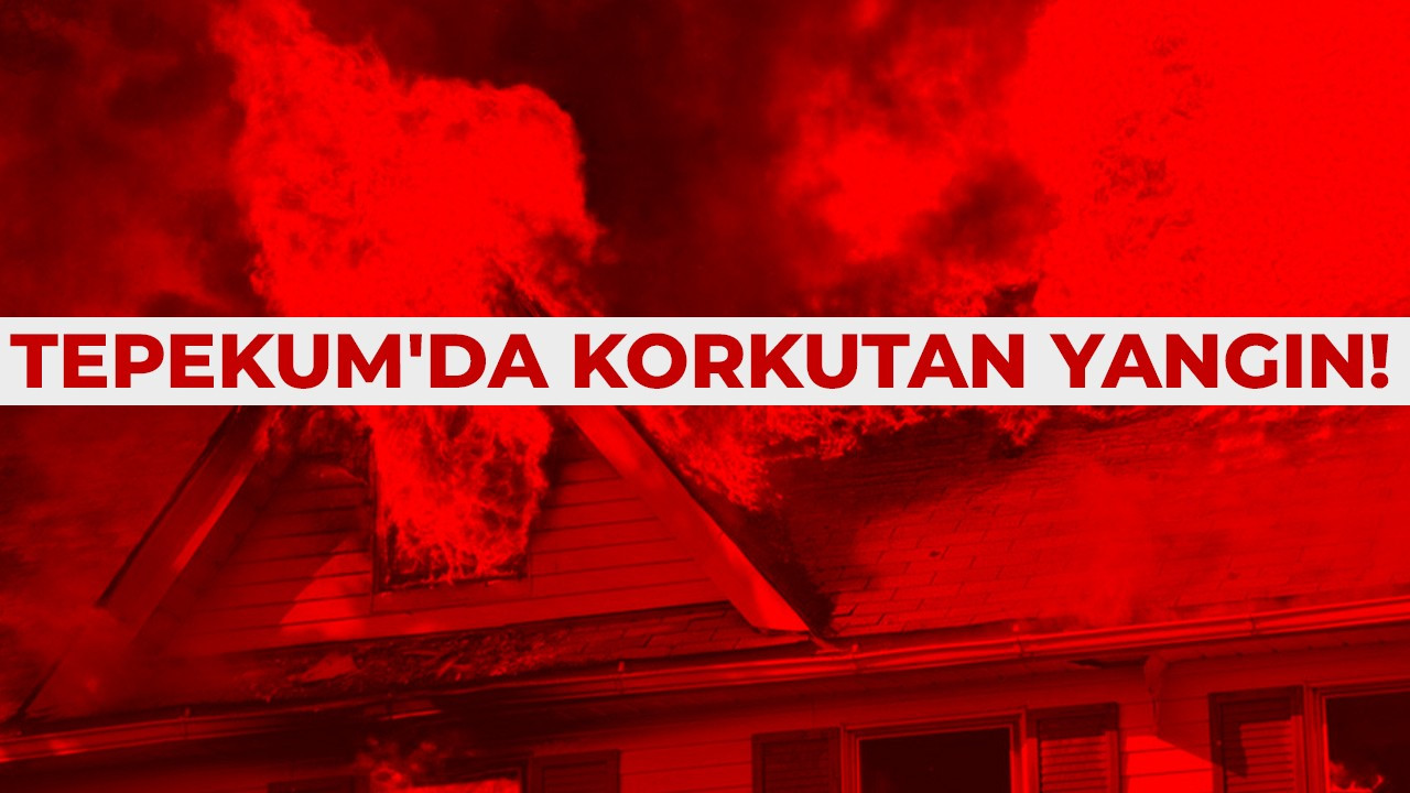 Tepekum'da korkutan yangın!