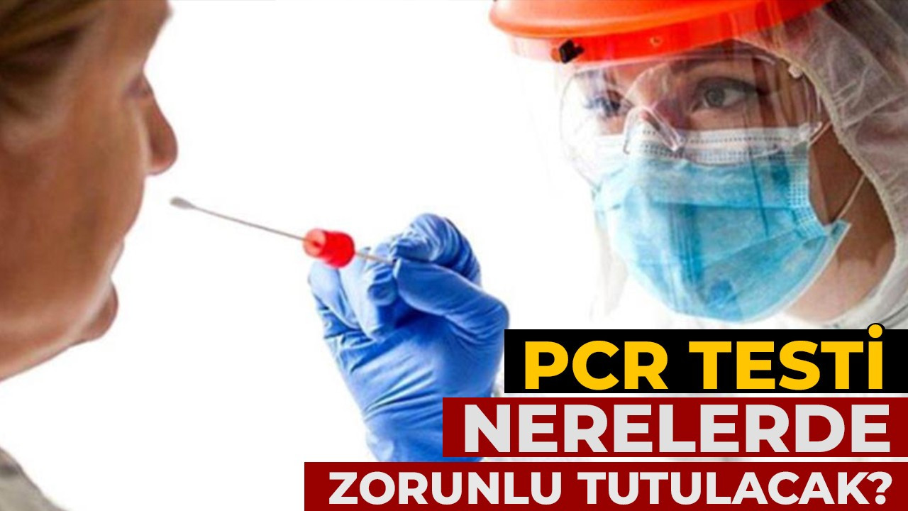 PCR testi nerelerde zorunlu tutulacak?