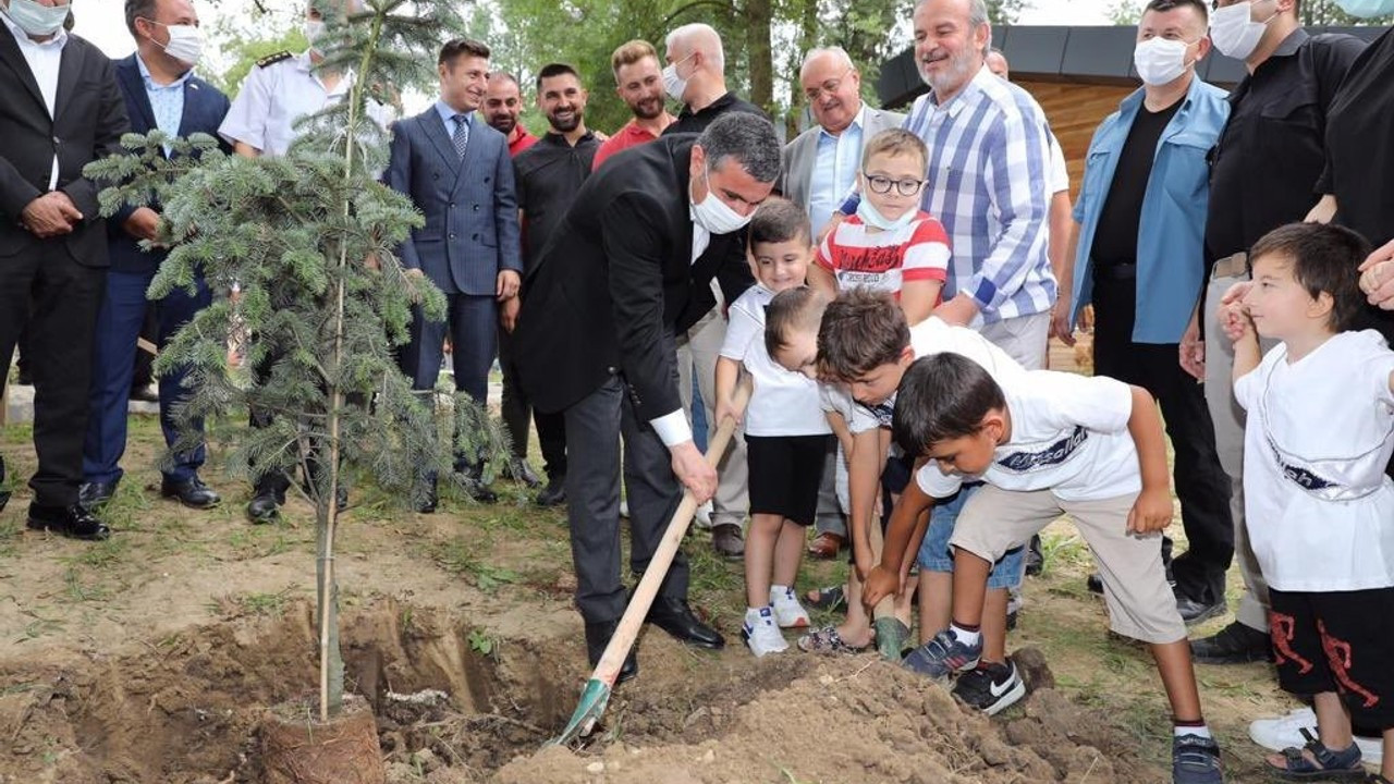 Toplu sünnet şöleni sonrasında fidanlar toprakla buluştu