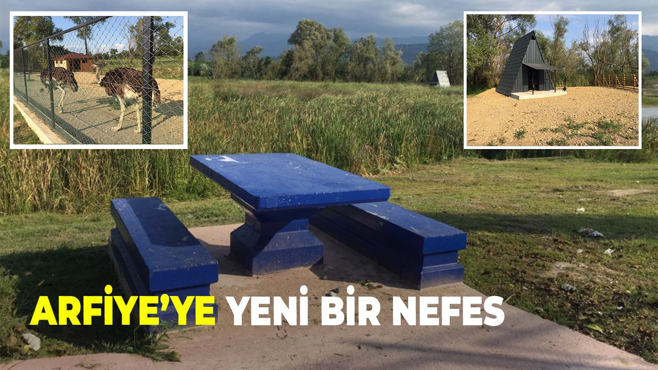 Arfiye’ye yeni bir nefes