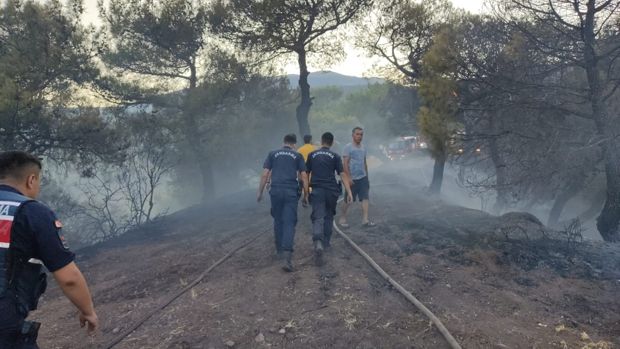 Hatay’da orman yangını!