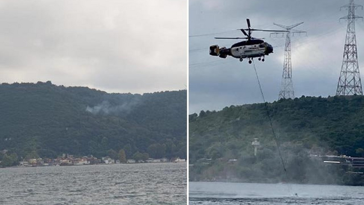 Beykoz'da orman yangını