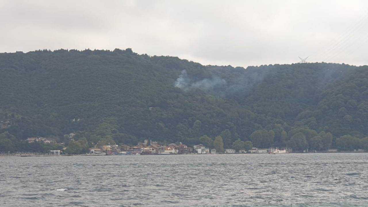 Beykoz'da ormanda çıkan yangın söndürüldü