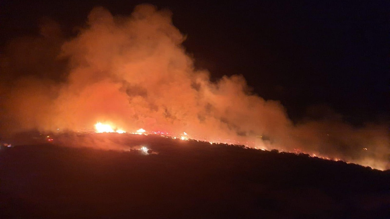 Manisa’da orman yangını!