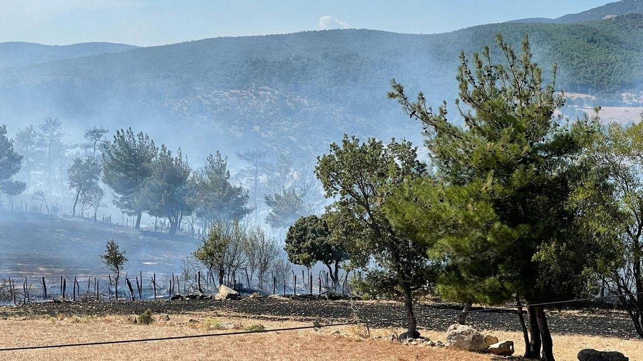 "Çanakkale’deki orman yangını kontrol altına alındı"