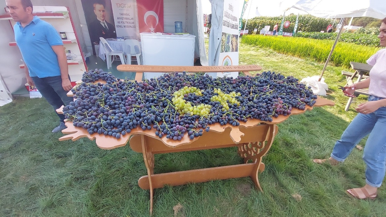 Binlerce dönümlük ekili alanda Tarım ve Teknoloji Fuarı