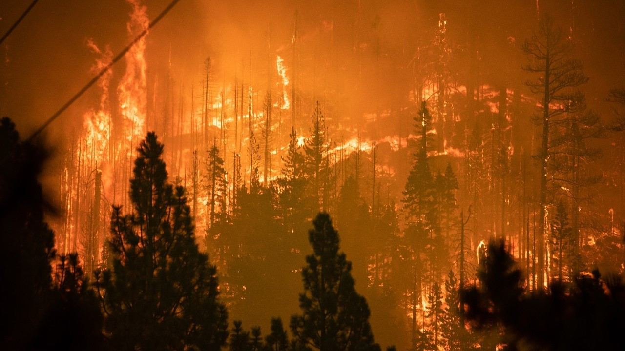 California’daki Caldor yangını devam ediyor