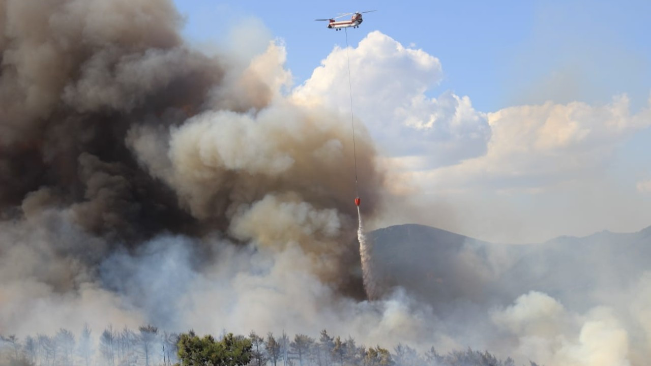 Çanakkale'de orman yangını!