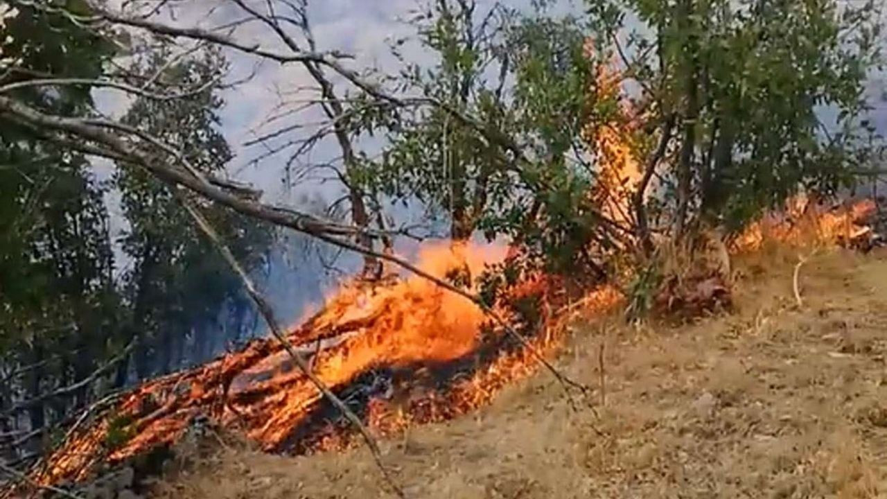 Şemdinli’de orman yangını kontrol altına alındı
