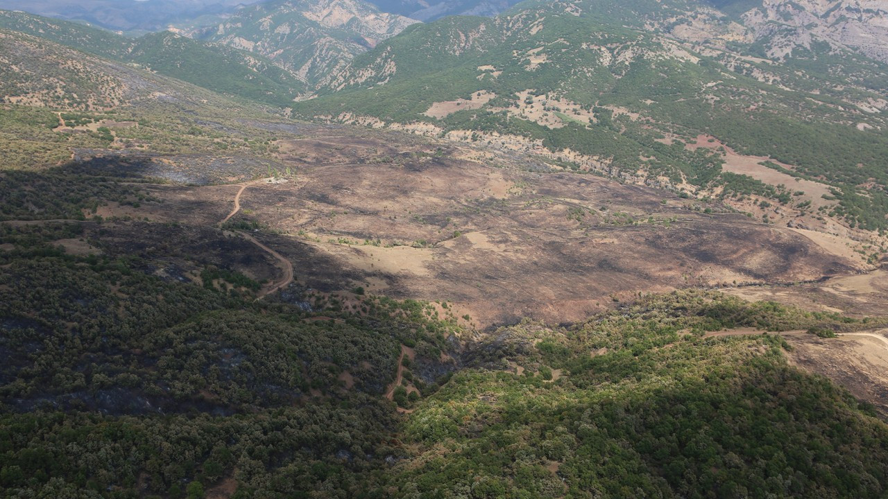 Tunceli'deki 5 yangından 4'ü söndürüldü