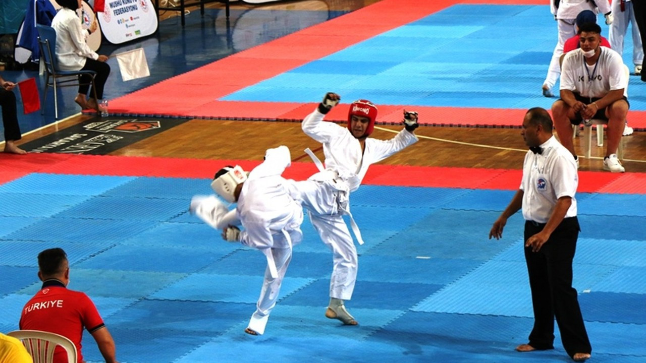 Serdivan'da Wushu Türkiye Şampiyonası düzenlendi