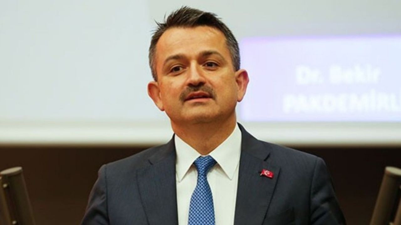 Bakan Pakdemirli: 2021'in sonuna kadar tüm Türkiye'de 252 milyon fidan dikeceğiz