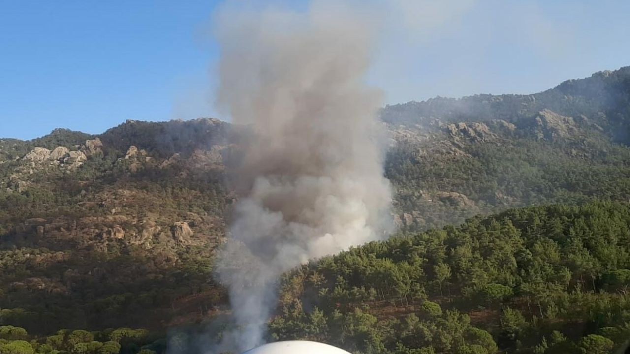 Milas'ta ormanda çıkan yangın, tarım arazilerine sıçradı