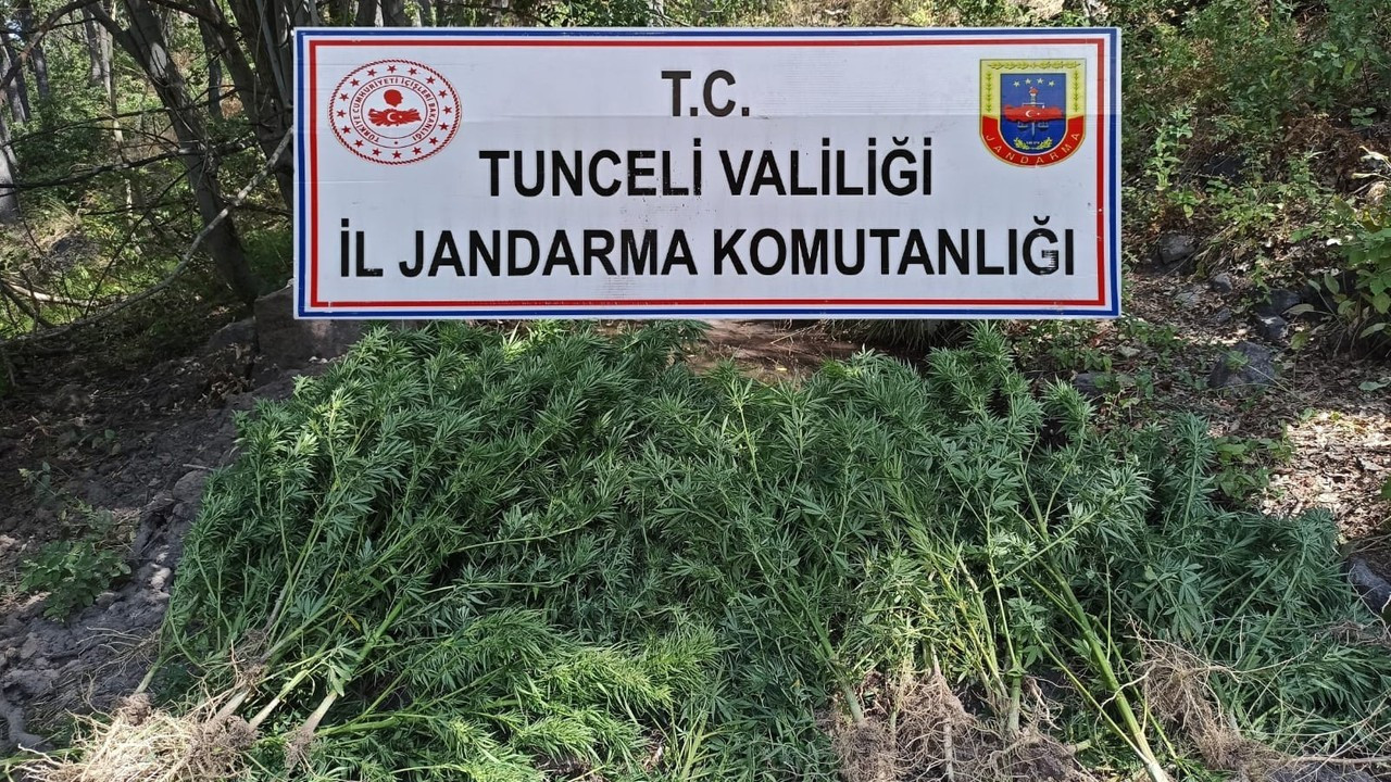 Tunceli’de uyuşturucu operasyonu